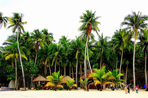 黑龙江餐饮设计哪家好用
